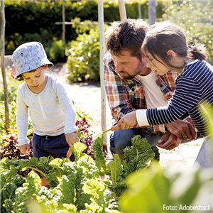 TOP 5 GäRTNERN MIT KINDERN!