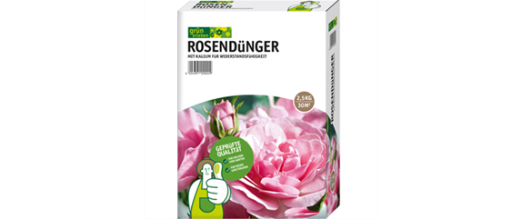 AUF ROSEN GEBETTET!