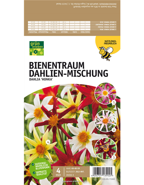 Bienentraum Dahlien-Mischung