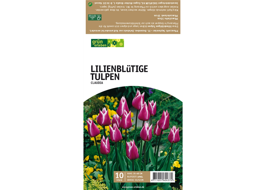 Lilienblütige Tulpen