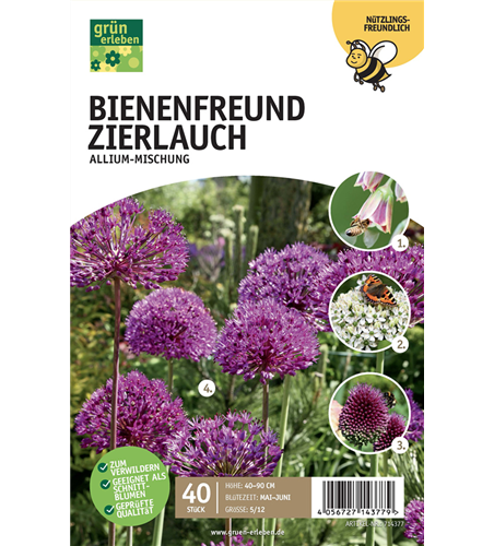 Allium Mischung